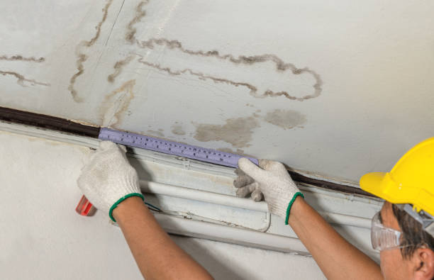 Reliable Mold Remediation contractor in Finleyville, PA by Water Damage Irwin